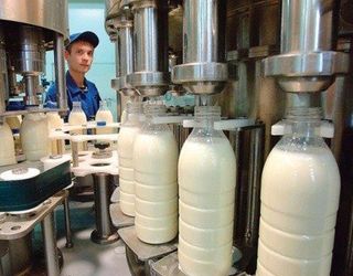 Росія постачає в ОРДЛО близько 20% від свого загального експорту молочних продуктів